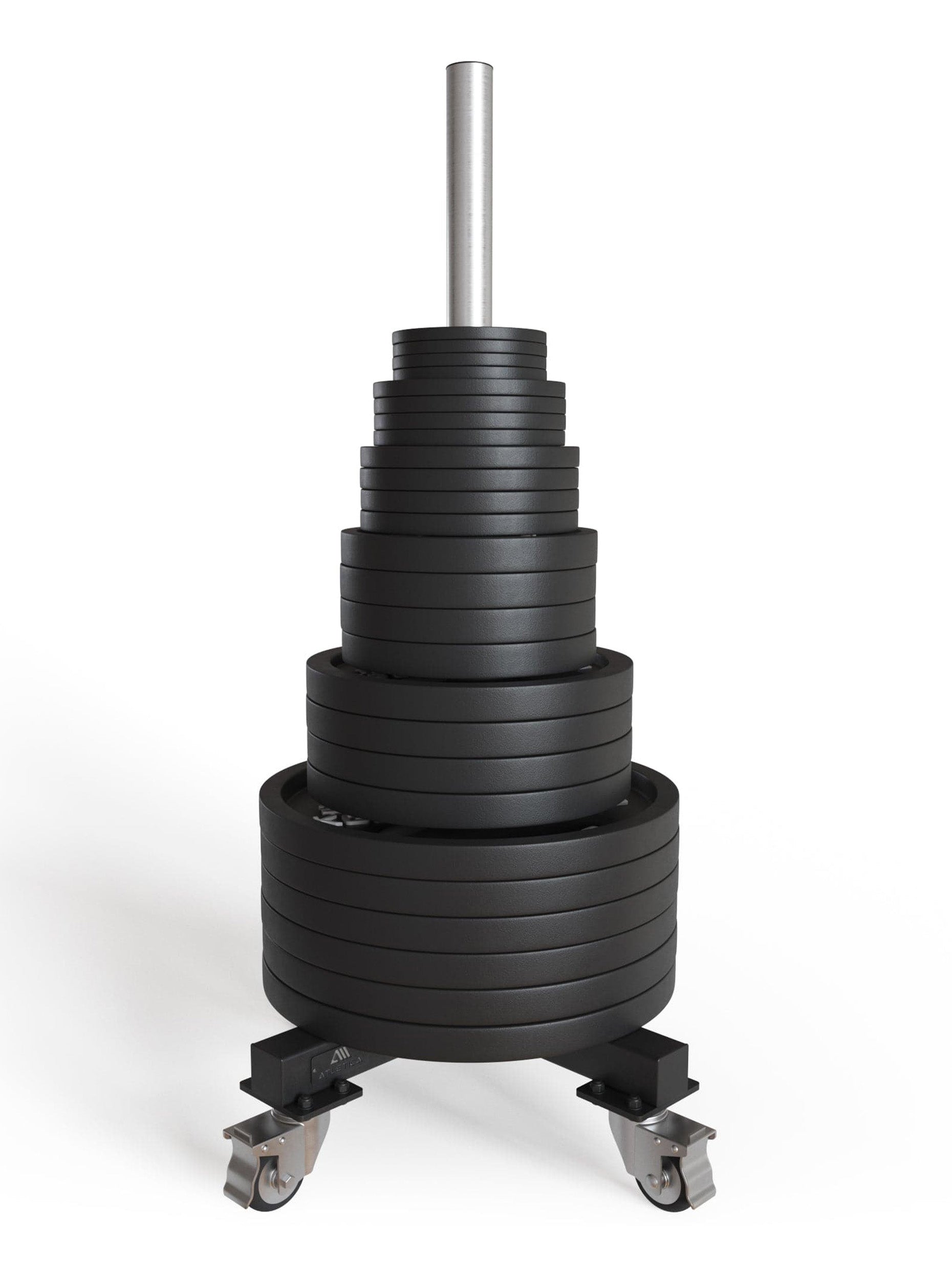 Hantelscheiben Ablage Speer: verchromte Aufnahme