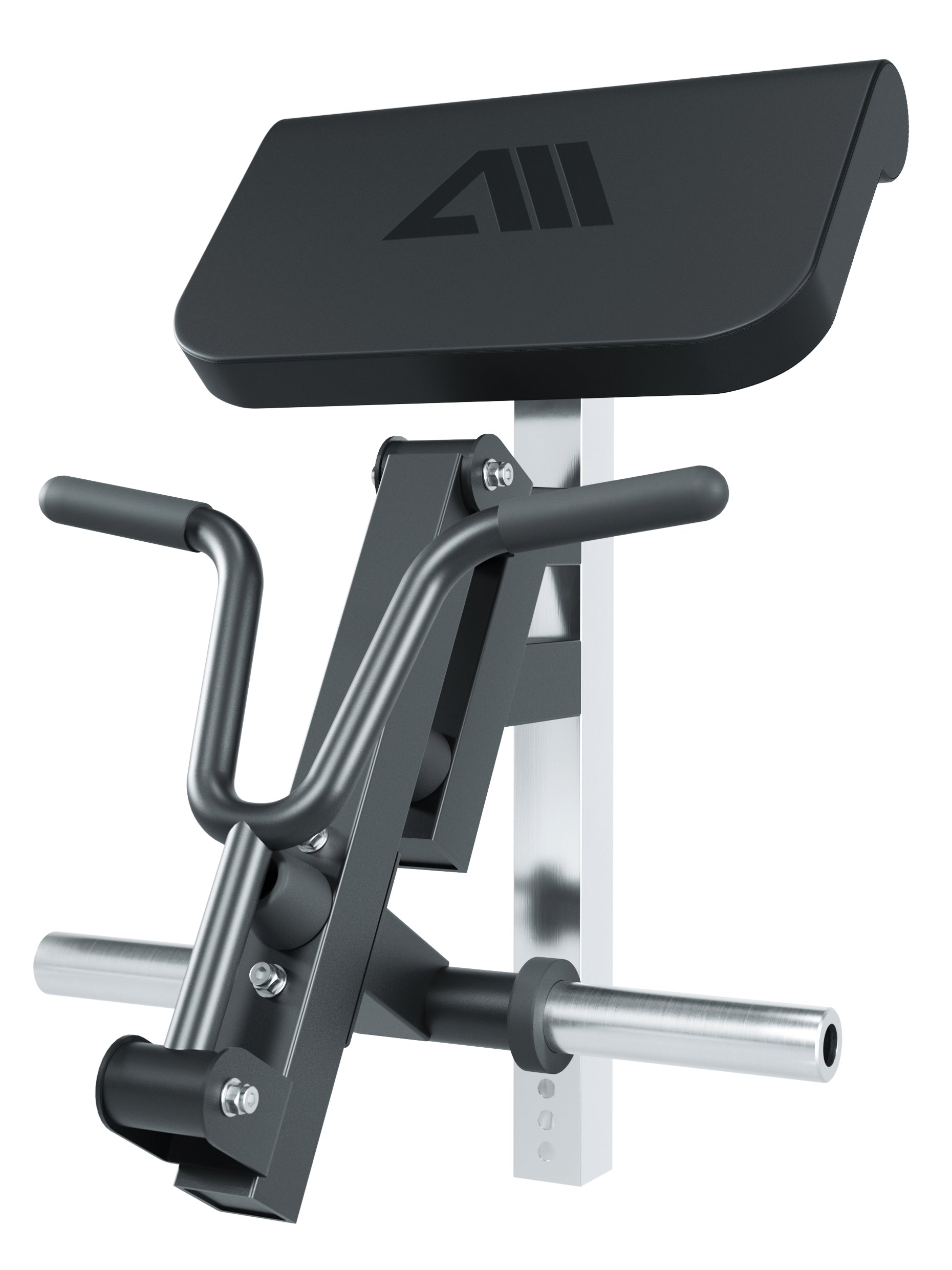 Biceps Curl Option Hantelbank