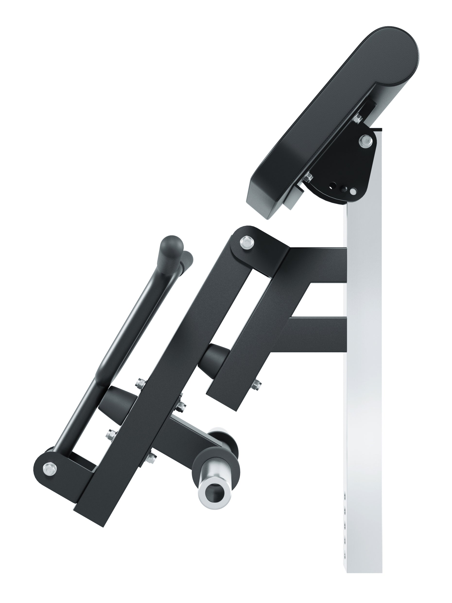 verstellbare Hantelbank Hyperbench Biceps Curl Option