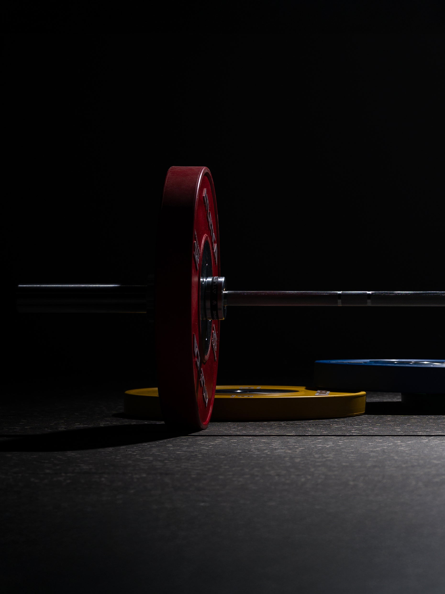 Hantelscheiben Bumper Plates Gewichte: