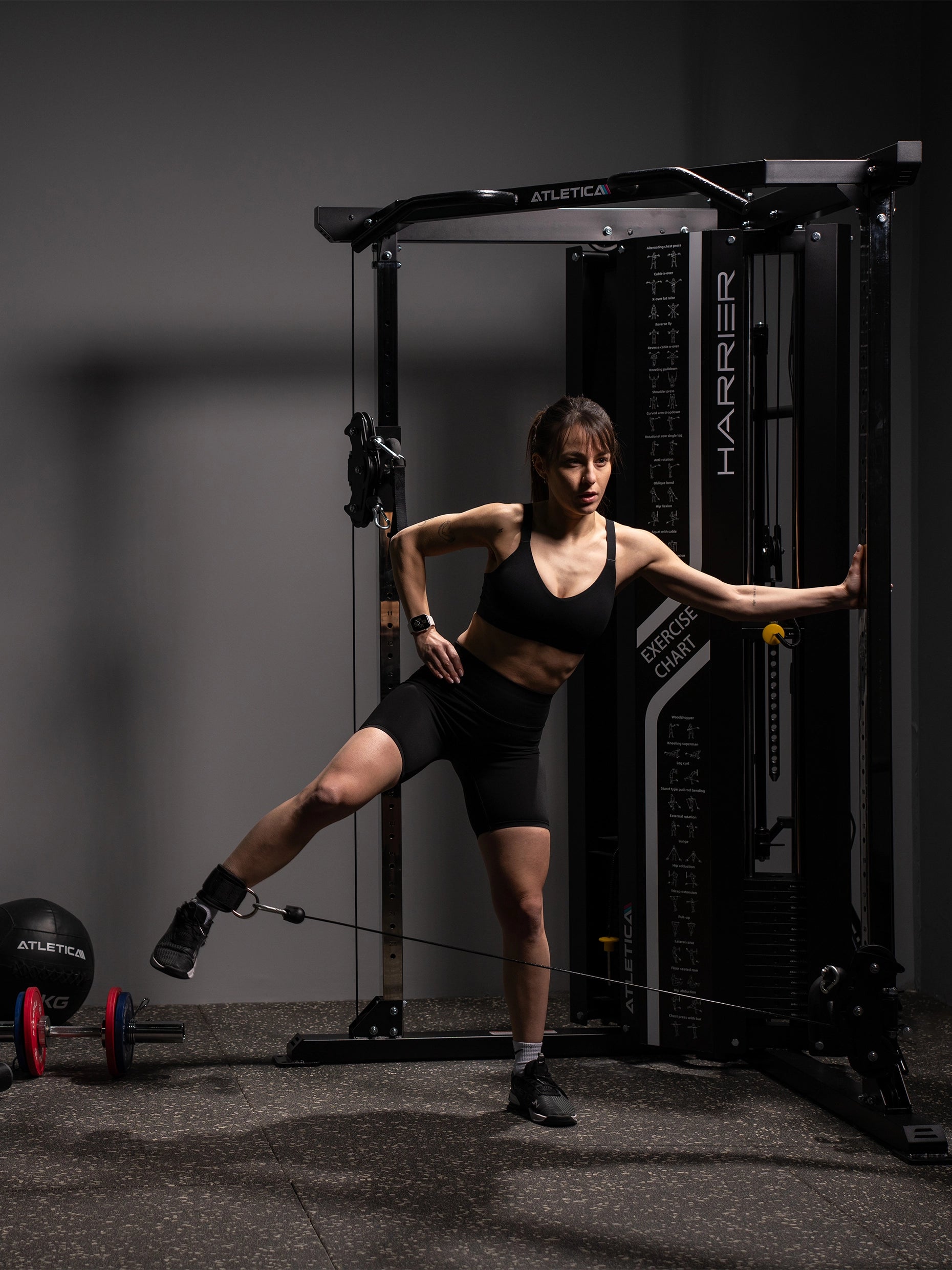 Harrier | Kabelzugstation