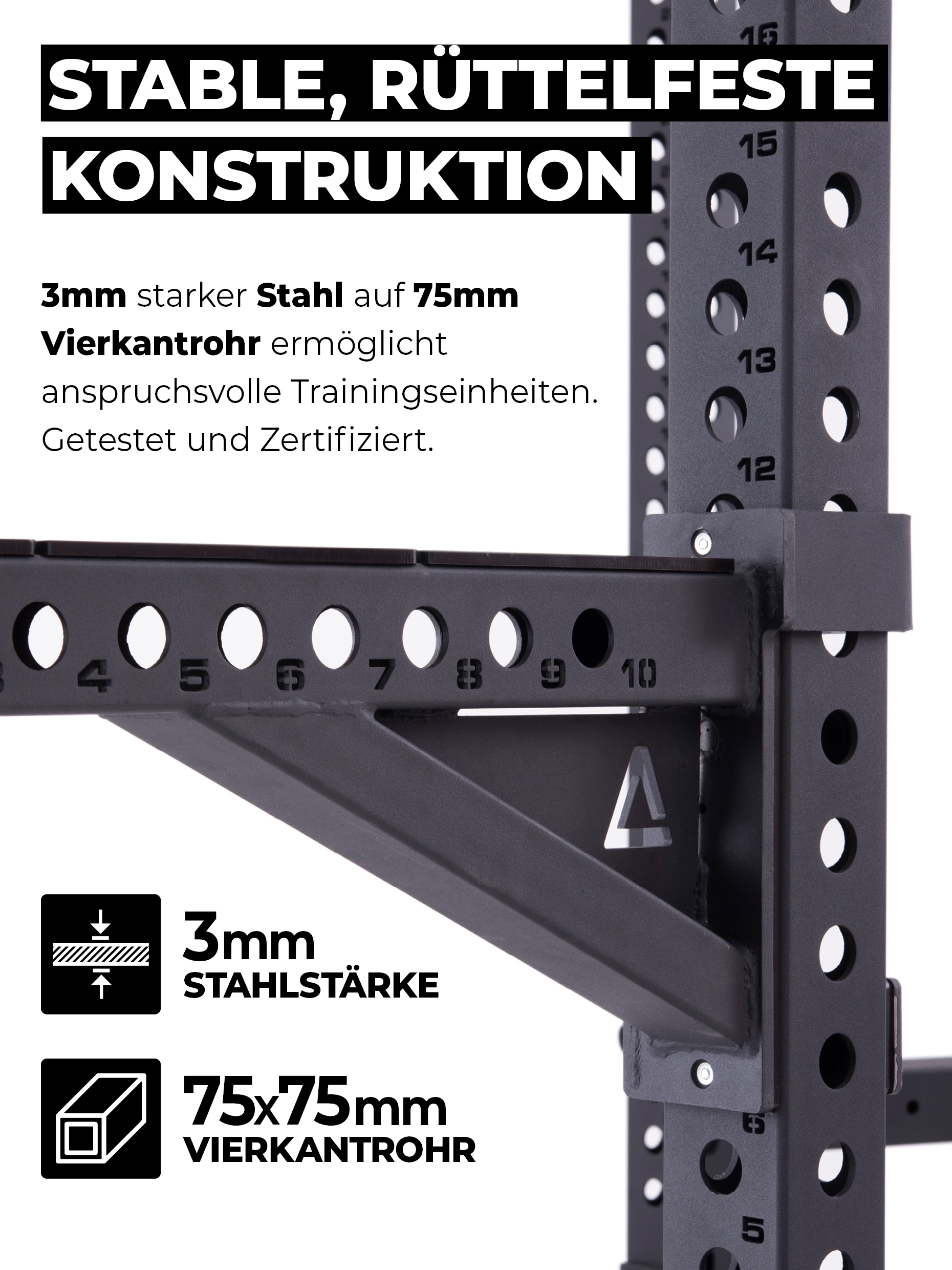 Cable Rack R8-Raptor Pro: Sprossenleiter, Dip-Holme, J-Hooks, 8 Weight Pins, Safeties, Bar Holder, Landmine | 173x265 cm Fläche