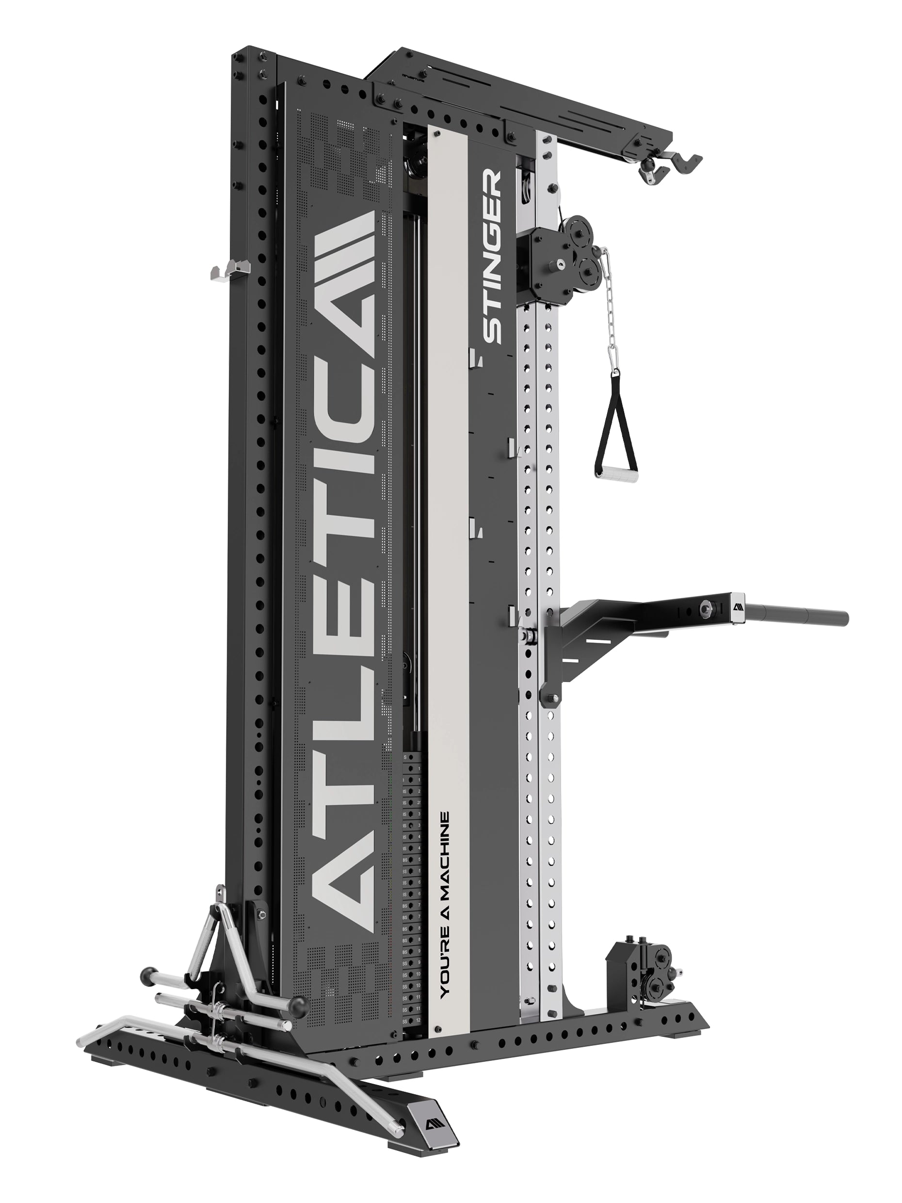 Stinger Functional Trainer mit Latzug und Dip Station