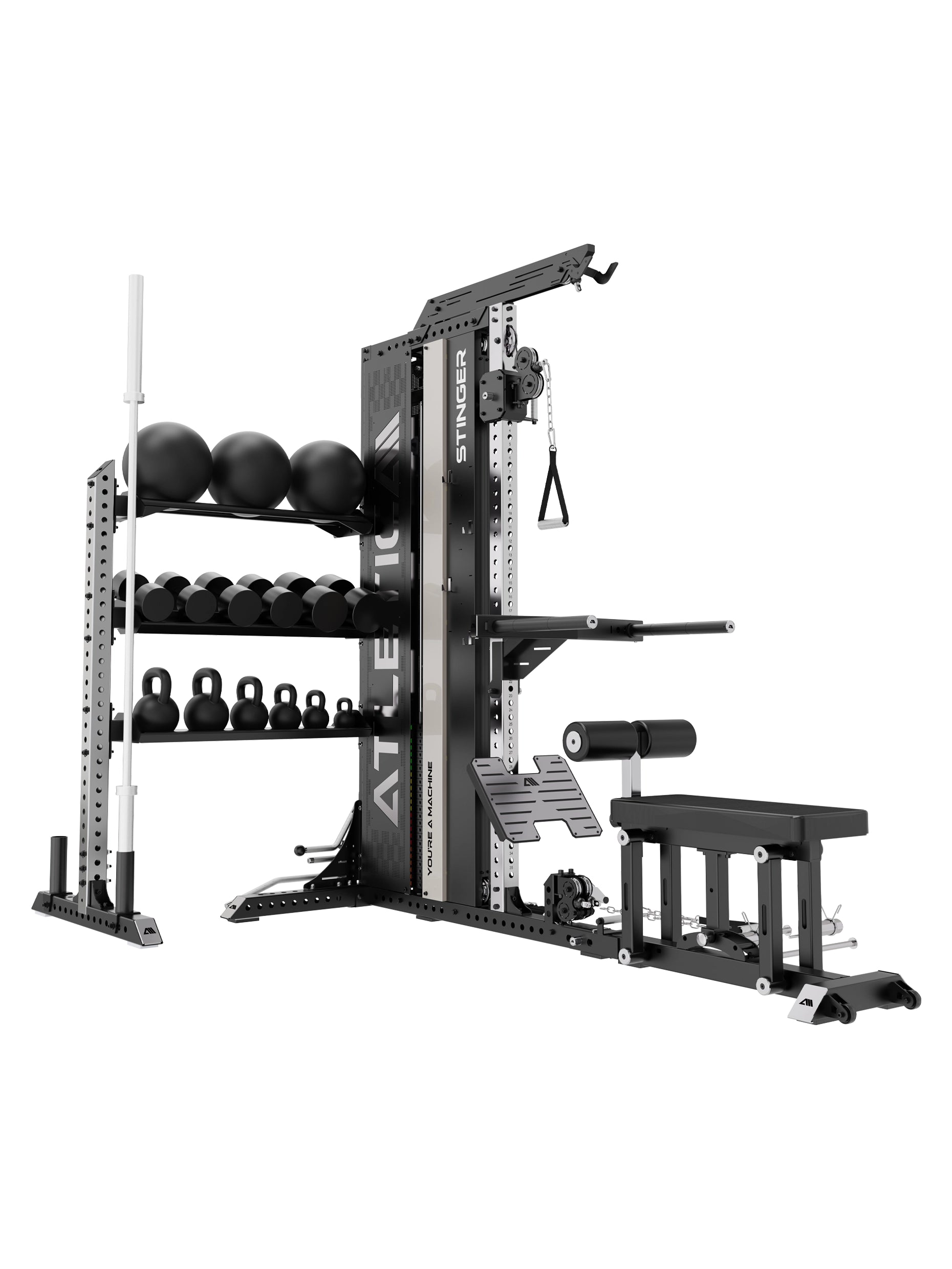 Stinger Functional Trainer mit Lagerregal, Latzug- und Ruderstation, Squat Belt und Dip Station