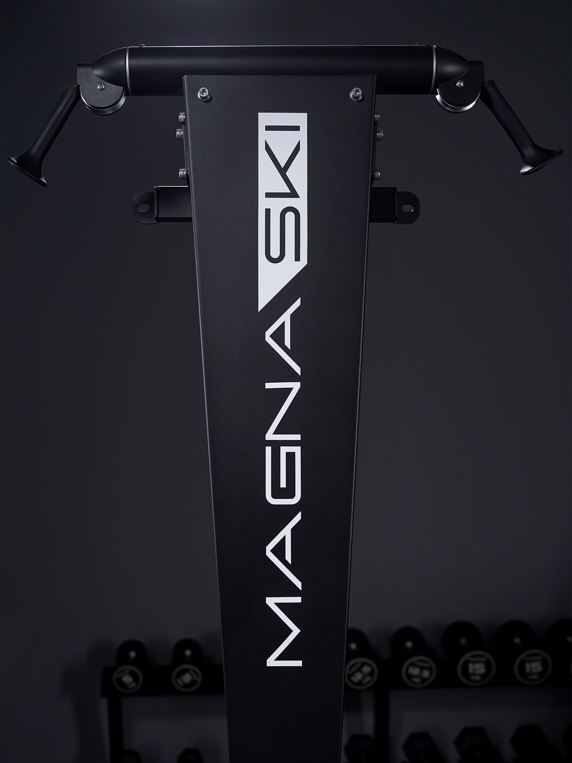 MagnaSki Gerät für Cardiotraining