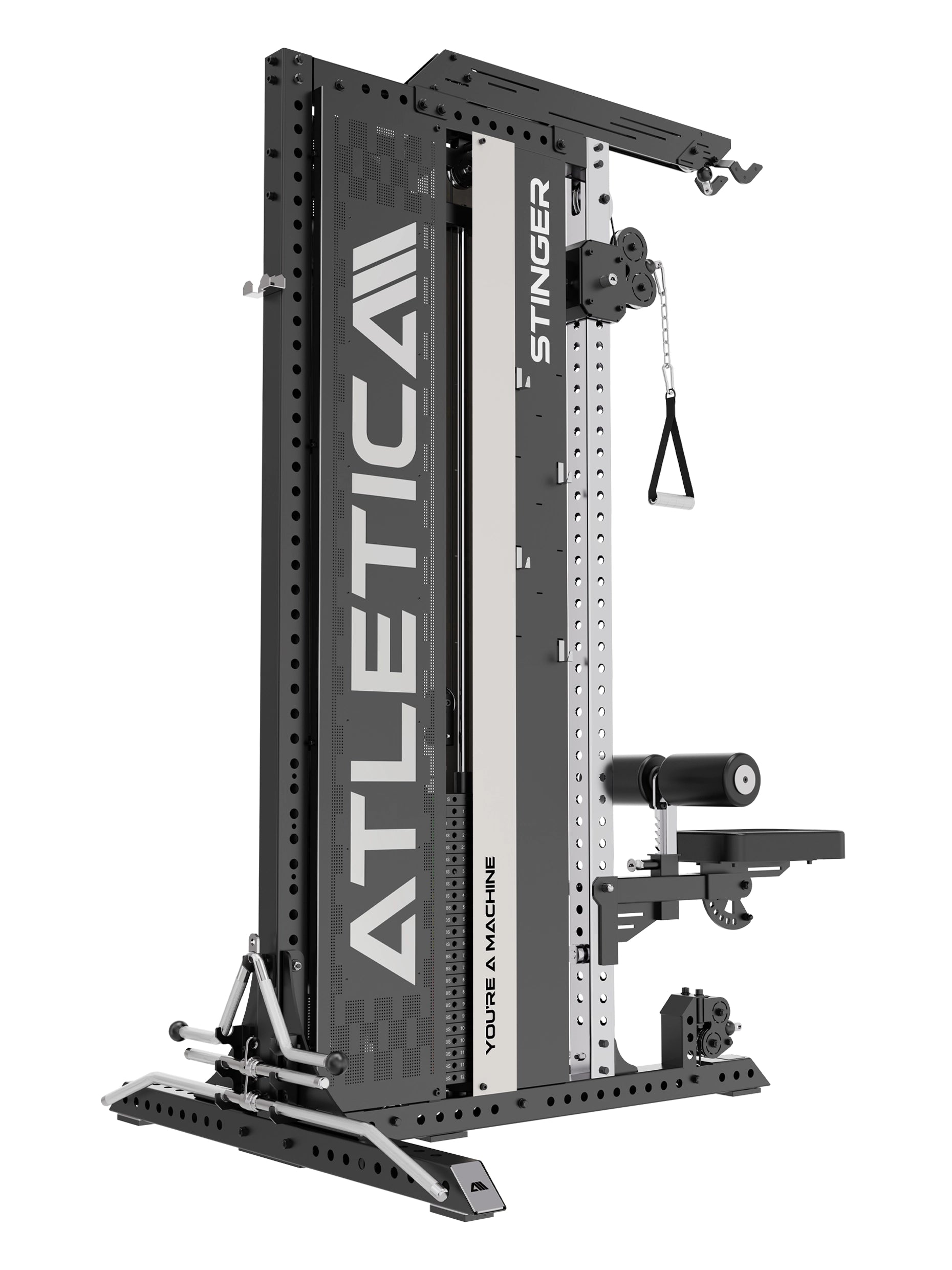 Functional Trainer Stinger: Latzug und Ruderstation