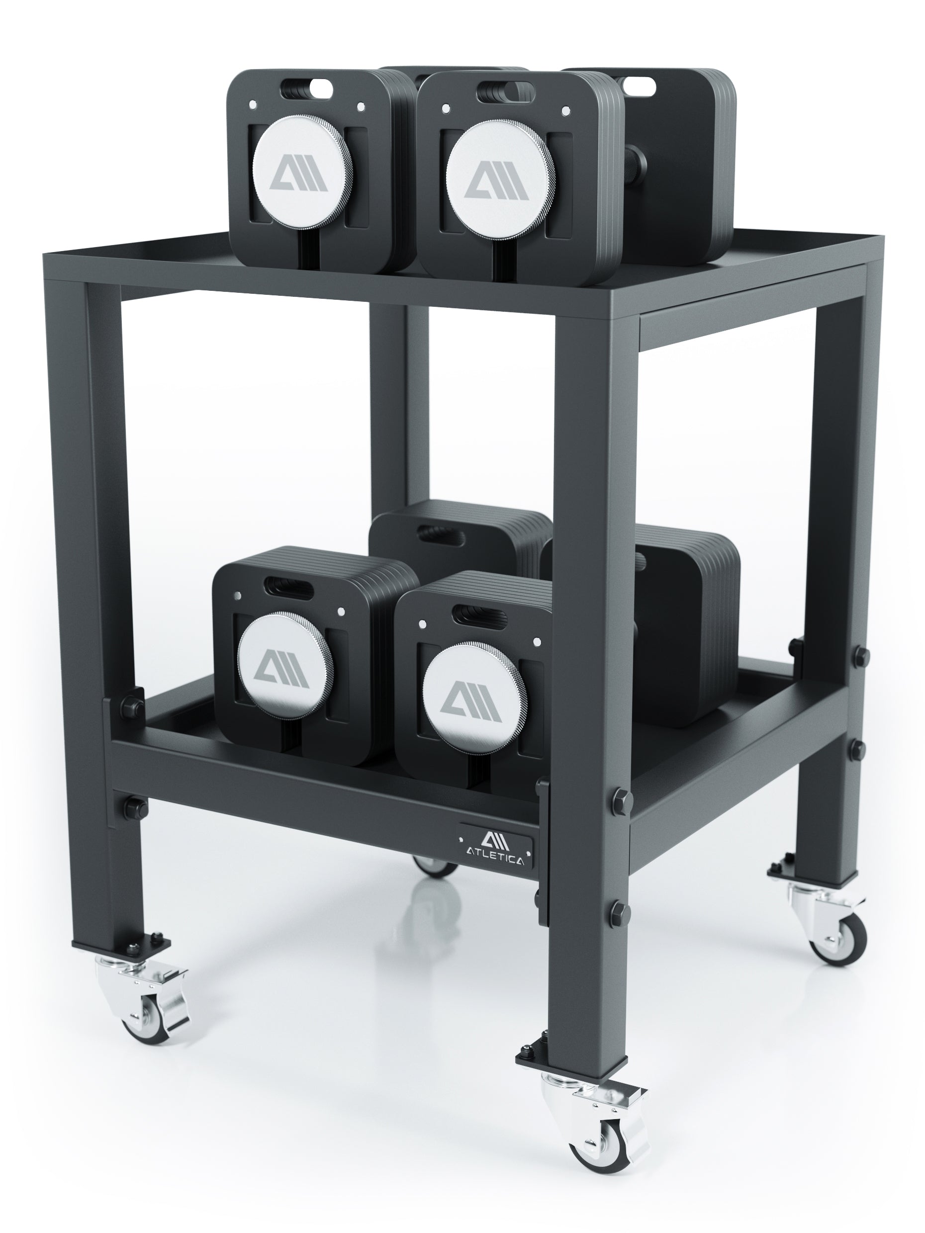 Ablage für Gewichte: Quad verstellbare Hanteln