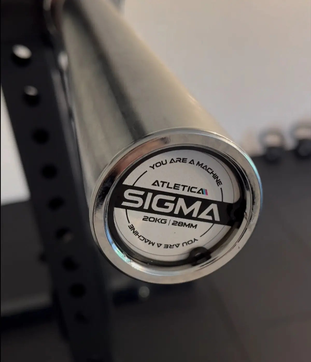 Diane Caldwells Gym: Sigma Langhantel