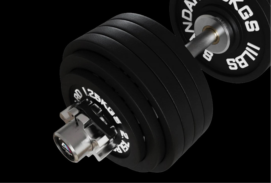 Olympia Stange: Scheibenaufnahmen können voll beladen werden 